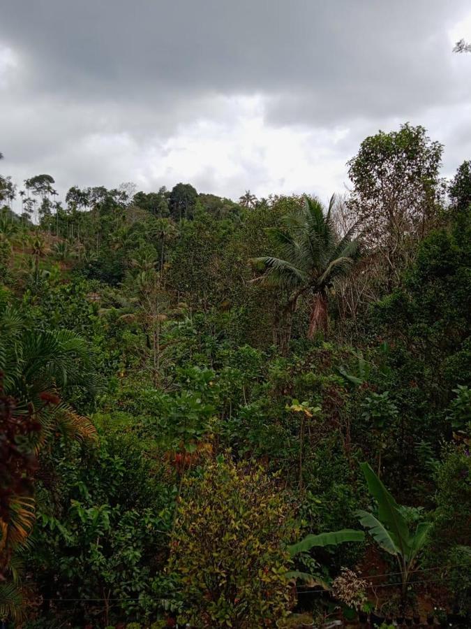 Maliyeckal Homestay Munnar Εξωτερικό φωτογραφία