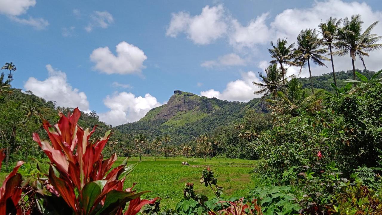 Maliyeckal Homestay Munnar Εξωτερικό φωτογραφία