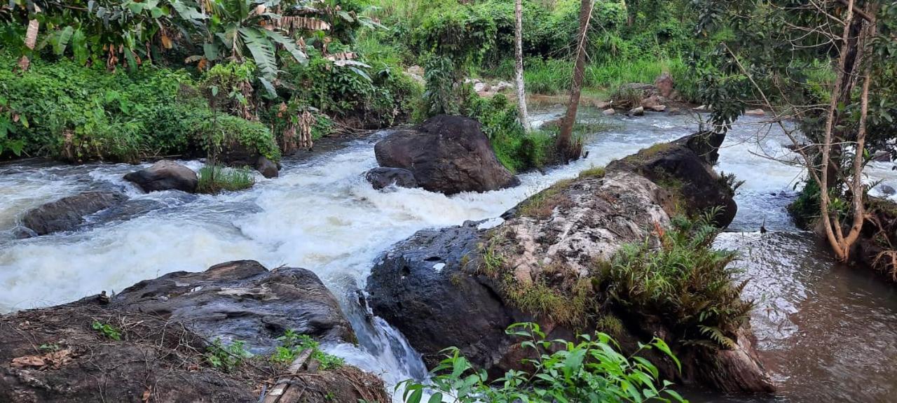 Maliyeckal Homestay Munnar Εξωτερικό φωτογραφία