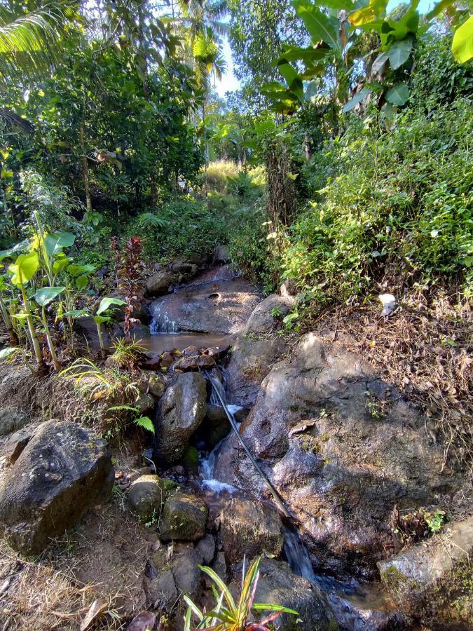 Maliyeckal Homestay Munnar Εξωτερικό φωτογραφία