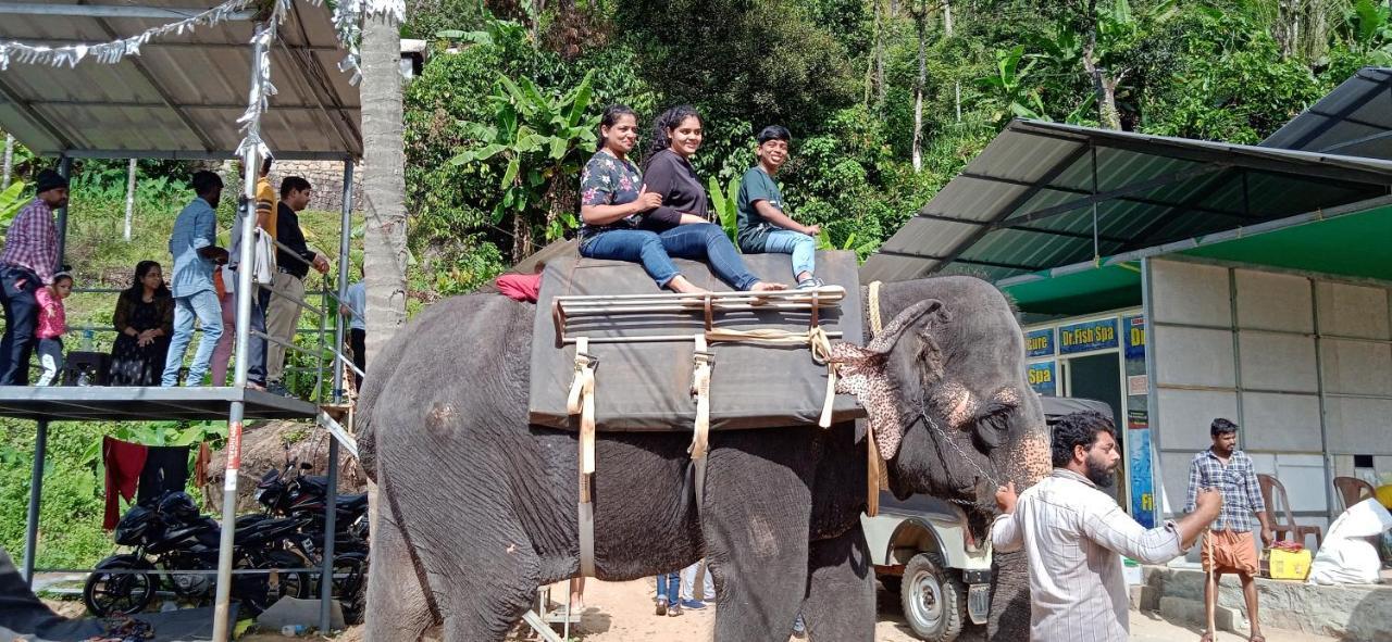 Maliyeckal Homestay Munnar Εξωτερικό φωτογραφία