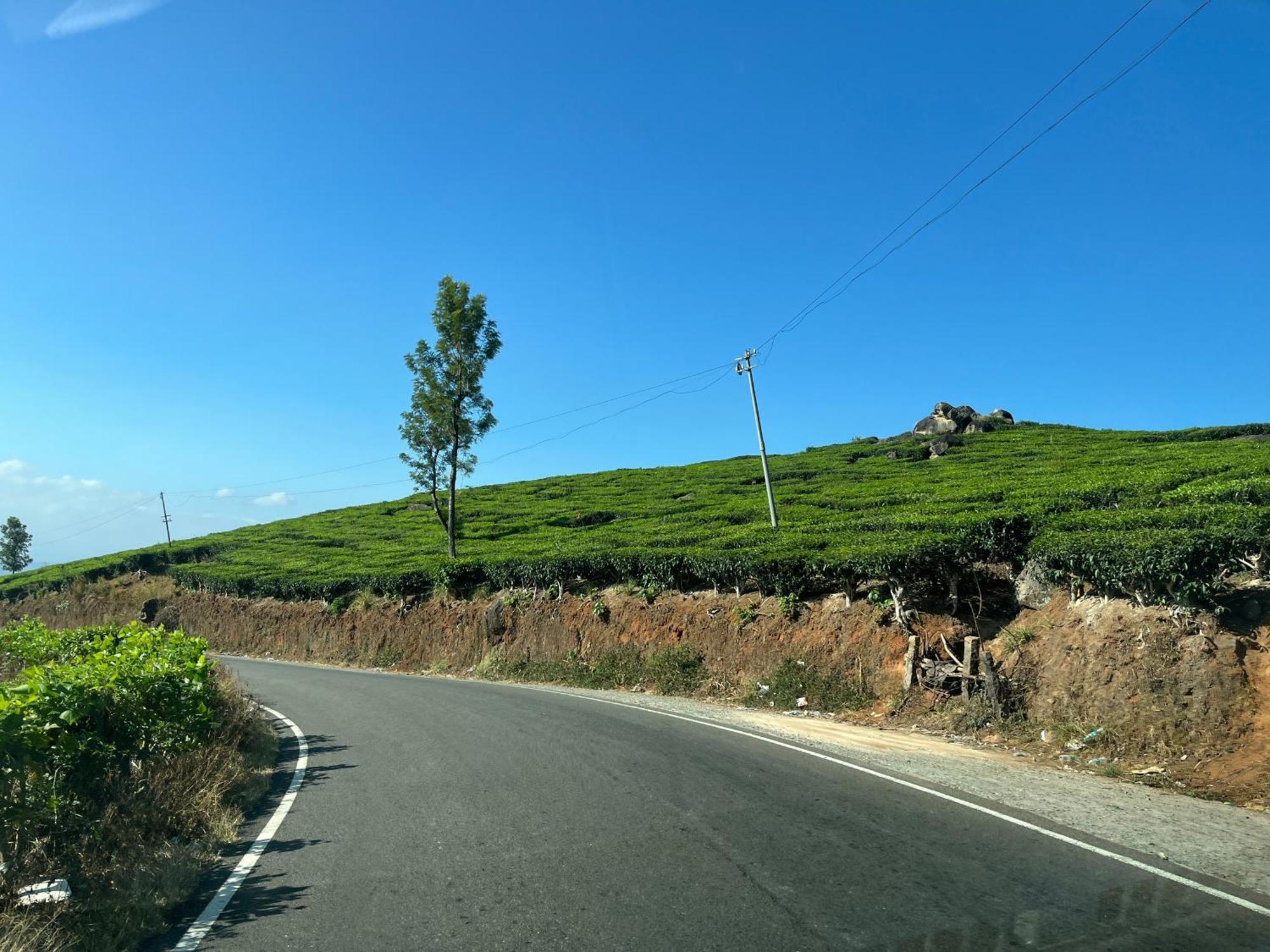 Maliyeckal Homestay Munnar Εξωτερικό φωτογραφία