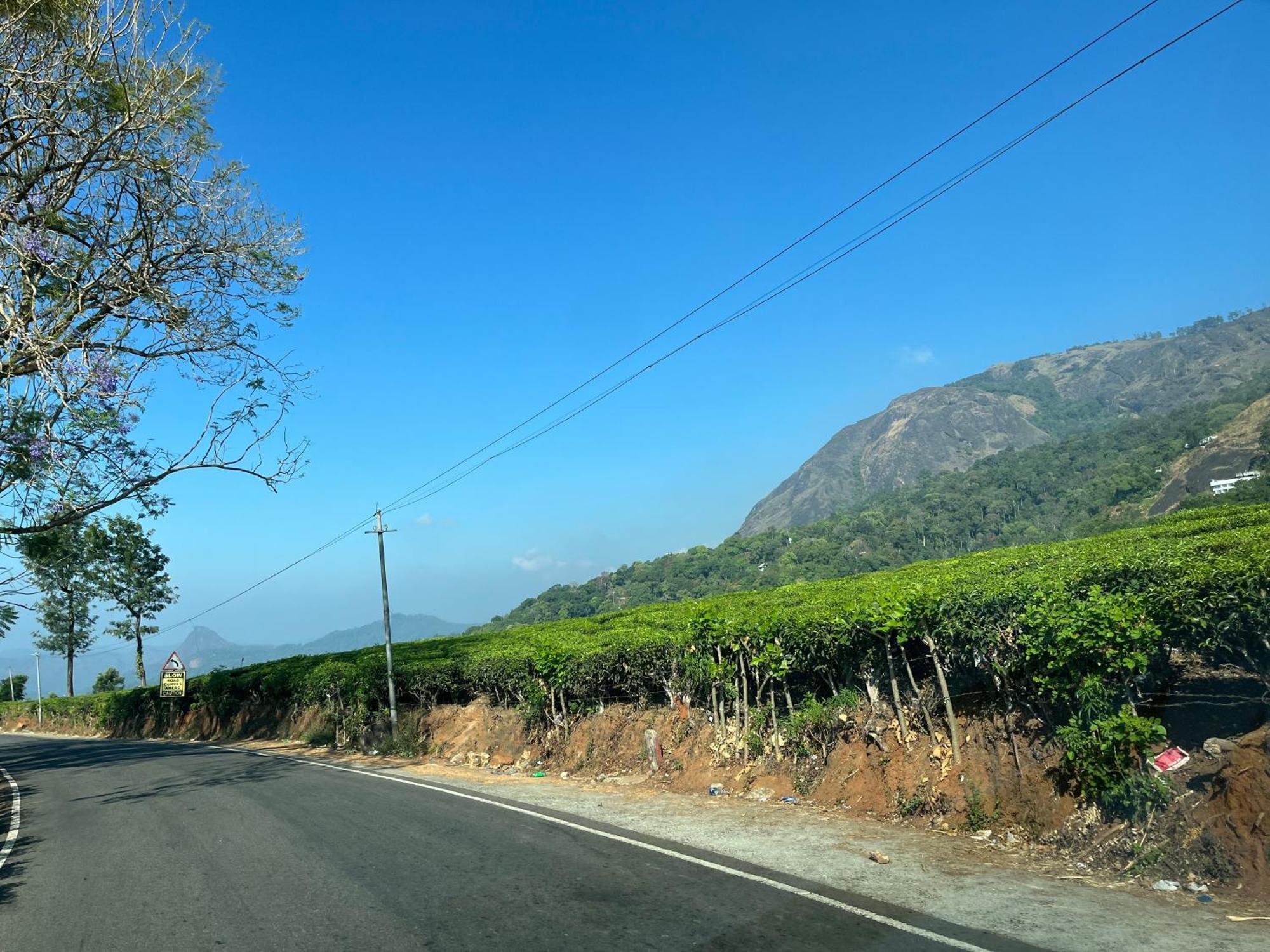 Maliyeckal Homestay Munnar Εξωτερικό φωτογραφία