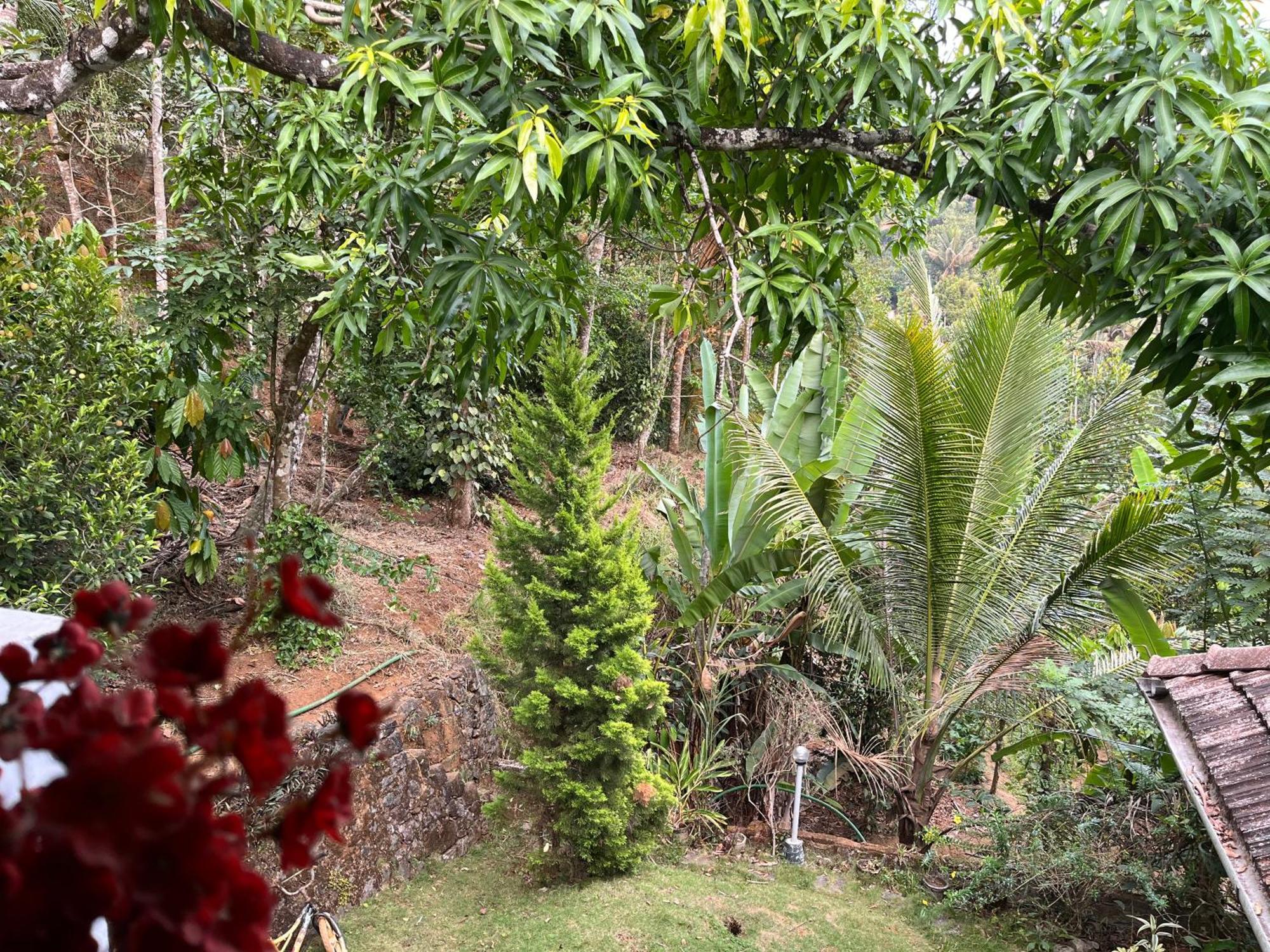Maliyeckal Homestay Munnar Εξωτερικό φωτογραφία